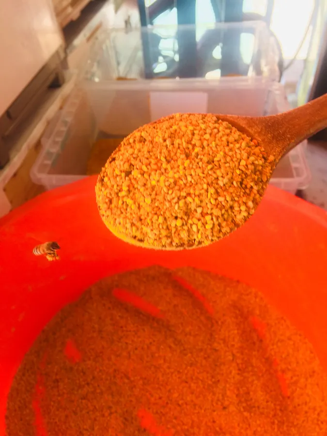 Polen 100 Gr. – Koçum Arıcılık Evi