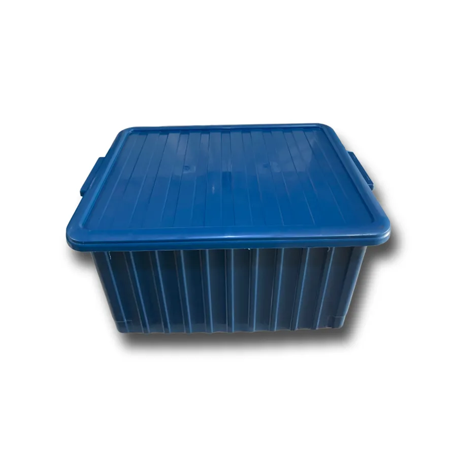 Bal Taşıma Sandığı Renkli̇ – Koçum Arıcılık Evi